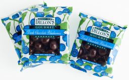 Sensational Chocolate Covered Blueberries ($5)